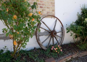 Giardino - Rustic strada Fornaci Stazione, Agliano Terme - photo 23
