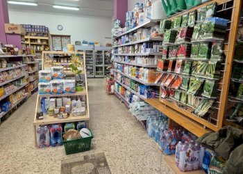 Interno non residenziale - Alimentari - Gastronomia Pomaretto - foto 6