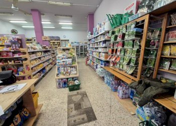 Interno non residenziale - Alimentari - Gastronomia Pomaretto - foto 7