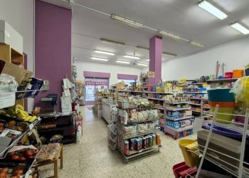 Interno non residenziale - Alimentari - Gastronomia Pomaretto - foto 8