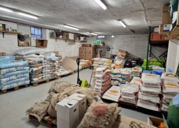 Magazzino - Alimentari - Gastronomia Pomaretto - foto 16