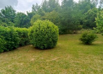 Terreno - Rustico via Roma, Castell'Alfero - foto 2