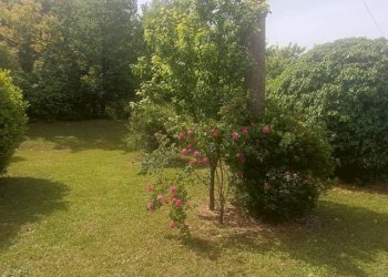 Giardino - Rustic via Roma, Castell'Alfero - photo 44
