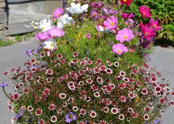 Casa indipendente Bardonecchia - foto 18