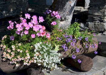 Casa indipendente Bardonecchia - foto 23