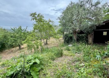 Foto 8 - Casa indipendente CONTRADA CALVANO
 
60, Apice - foto 8