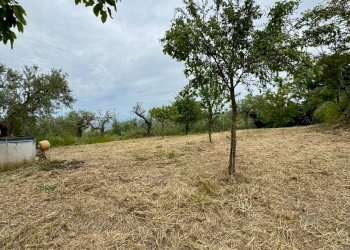 Foto 9 - Casa indipendente CONTRADA CALVANO
 
60, Apice - foto 9