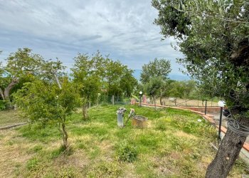 Foto 10 - Casa indipendente CONTRADA CALVANO
 
60, Apice - foto 10