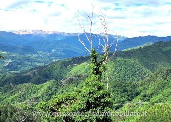 Foto 9 - Rustico FRAZIONE COLLINA, Ascoli Piceno - foto 9