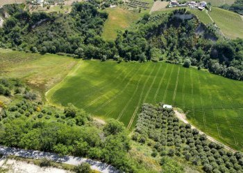 Foto 2 - Agricultural land Contrada Pezzalunga
 
snc, Ripatransone - photo 2