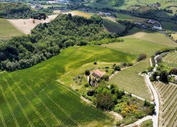 Foto 3 - Agricultural land Contrada Pezzalunga
 
snc, Ripatransone - photo 3