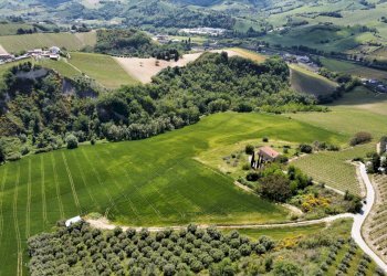 Foto 4 - Agricultural land Contrada Pezzalunga
 
snc, Ripatransone - photo 4