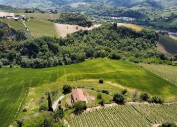 Foto 5 - Agricultural land Contrada Pezzalunga
 
snc, Ripatransone - photo 5