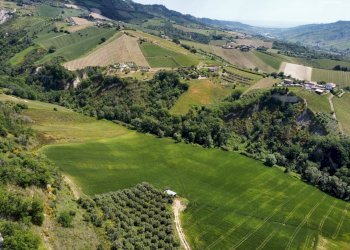 Foto 6 - Agricultural land Contrada Pezzalunga
 
snc, Ripatransone - photo 6