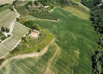 Foto 7 - Agricultural land Contrada Pezzalunga
 
snc, Ripatransone - photo 7