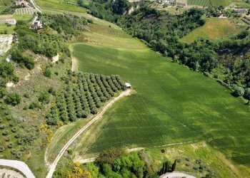 Foto 8 - Agricultural land Contrada Pezzalunga
 
snc, Ripatransone - photo 8