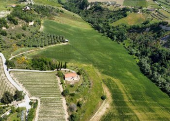 Foto 9 - Agricultural land Contrada Pezzalunga
 
snc, Ripatransone - photo 9