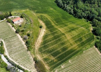 Foto 10 - Agricultural land Contrada Pezzalunga
 
snc, Ripatransone - photo 10