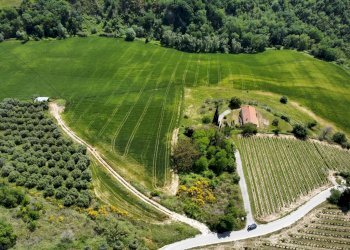 Foto 13 - Agricultural land Contrada Pezzalunga
 
snc, Ripatransone - photo 13