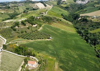 Foto 15 - Agricultural land Contrada Pezzalunga
 
snc, Ripatransone - photo 15