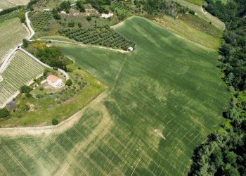 Foto 17 - Agricultural land Contrada Pezzalunga
 
snc, Ripatransone - photo 17