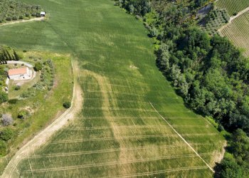 Foto 18 - Agricultural land Contrada Pezzalunga
 
snc, Ripatransone - photo 18