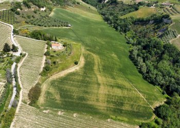 Foto 19 - Agricultural land Contrada Pezzalunga
 
snc, Ripatransone - photo 19