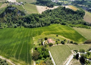 Foto 20 - Agricultural land Contrada Pezzalunga
 
snc, Ripatransone - photo 20