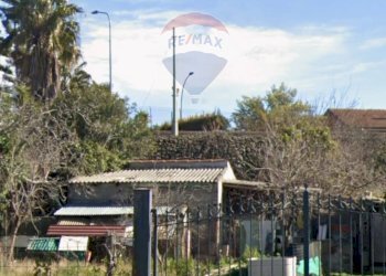 Giardino - Terreno edificabile contrada piano gelsi, (pappalardo salvatore 1)
1, Viagrande - foto 4