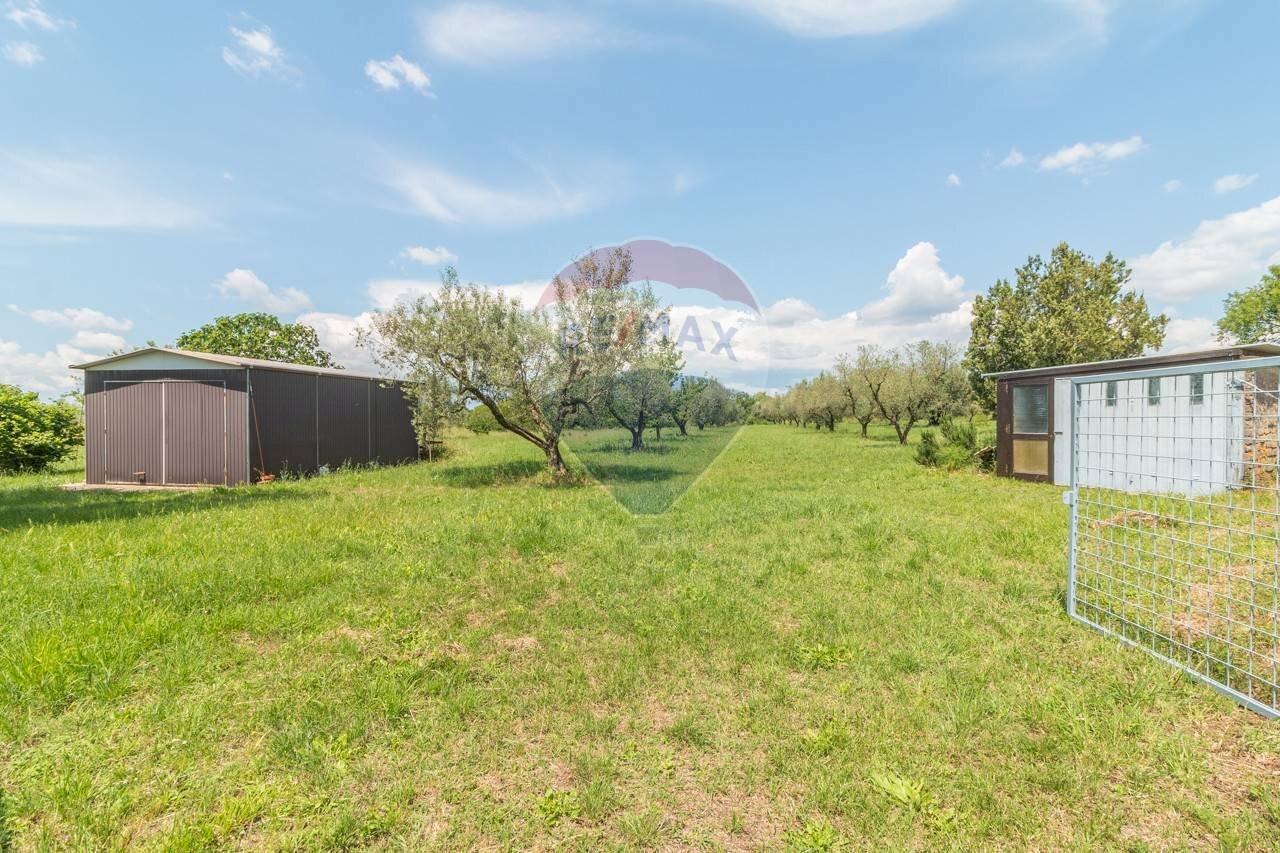 Giardino - Terreno agricolo Località Macchia di Sopra
 
snc, Ischia di Castro - foto 1