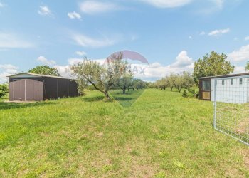 Giardino - Terreno agricolo Località Macchia di Sopra
snc, Ischia di Castro - foto 1