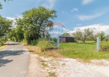 Giardino - Terreno agricolo Località Macchia di Sopra
snc, Ischia di Castro - foto 2