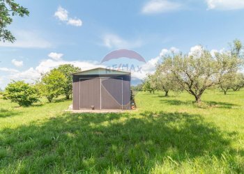 Giardino - Terreno agricolo Località Macchia di Sopra
snc, Ischia di Castro - foto 6
