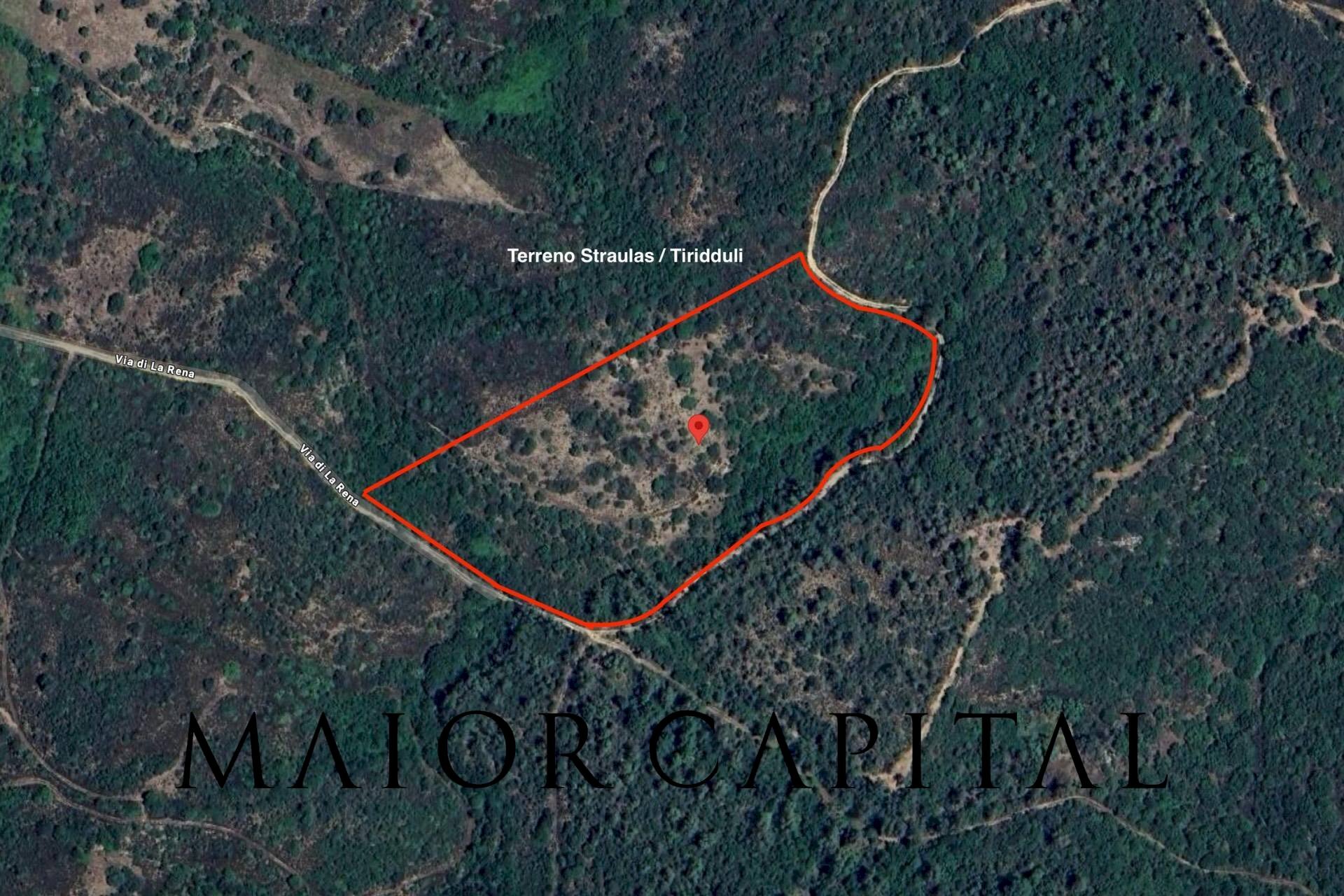 Foto 1 - Agricultural land Via di la Rena, San Teodoro - photo 1