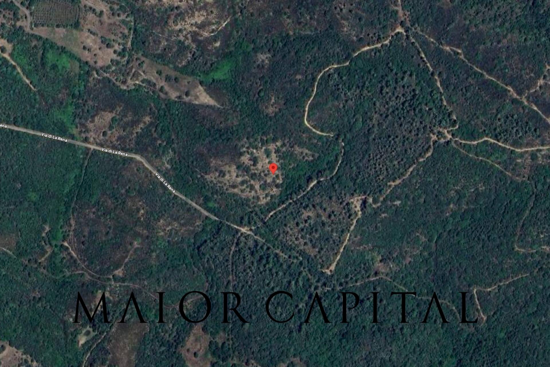 Foto 2 - Agricultural land Via di la Rena, San Teodoro - photo 2