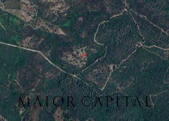 Foto 2 - Terreno agricolo Via di la Rena, San Teodoro - foto 2