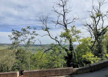 Foto 23 - Casa semi indipendente Via Marziale
 
59-61, Acquaviva Picena - foto 23