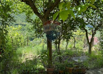 Giardino - Casa semi indipendente Via Tegila, Colli a Volturno - foto 65