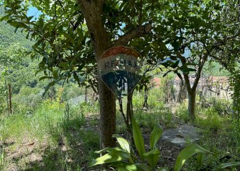 Giardino - Casa semi indipendente Via Tegila, Colli a Volturno - foto 67