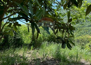 Giardino - Casa semi indipendente Via Tegila, Colli a Volturno - foto 70