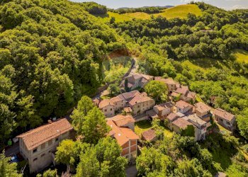 Giardino - Locale Commerciale via Spigone
14, Vetto - foto 10