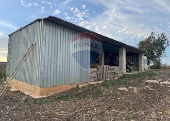 Casa all\'aperto - Casa indipendente C.da Graffetta
 
snc, Pozzallo - foto 18