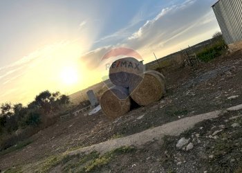 Giardino - Casa indipendente C.da Graffetta
 
snc, Pozzallo - foto 23