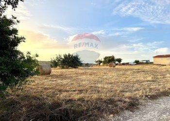 Giardino - Casa indipendente C.da Graffetta
 
snc, Pozzallo - foto 25