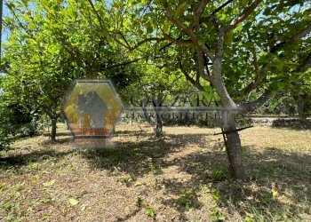 Foto 9 - Terreno agricolo C.da Palombara
 
sn, Canicattini Bagni - foto 9