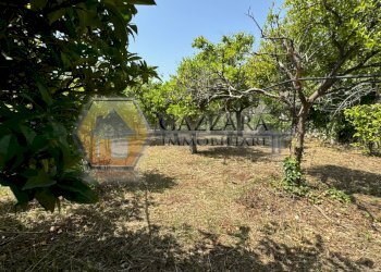 Foto 20 - Terreno agricolo C.da Palombara
 
sn, Canicattini Bagni - foto 20