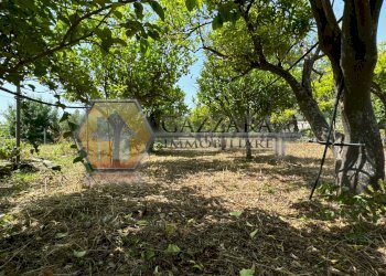 Foto 21 - Terreno agricolo C.da Palombara
 
sn, Canicattini Bagni - foto 21