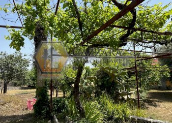 Foto 27 - Terreno agricolo C.da Palombara
 
sn, Canicattini Bagni - foto 27