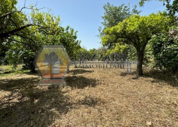 Foto 28 - Terreno agricolo C.da Palombara
 
sn, Canicattini Bagni - foto 28