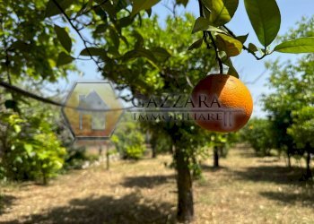 Foto 32 - Terreno agricolo C.da Palombara
 
sn, Canicattini Bagni - foto 32